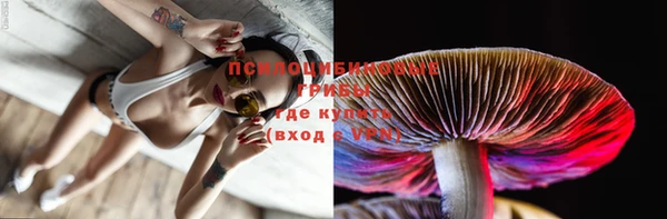 ПСИЛОЦИБИНОВЫЕ ГРИБЫ Магадан