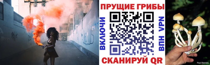 Псилоцибиновые грибы прущие грибы  Купить где  Клинцы 